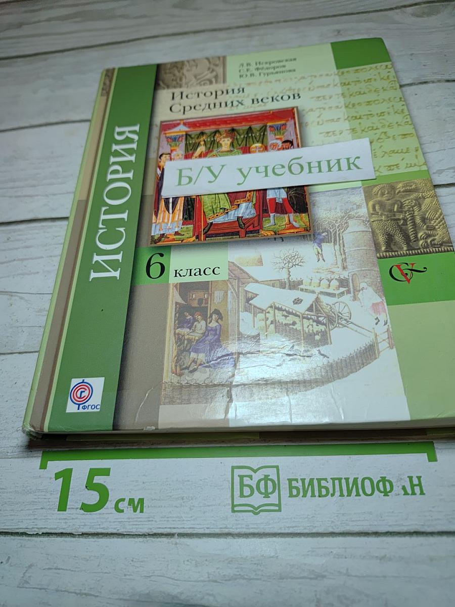 История Средних веков 6 класс