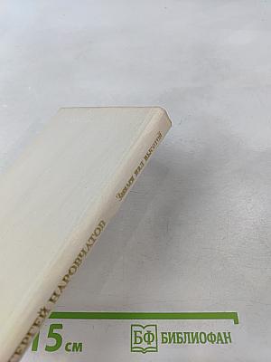 Знамя над высотой