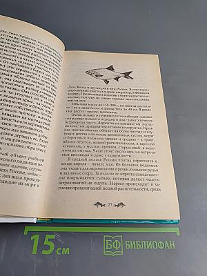 Летняя рыбалка