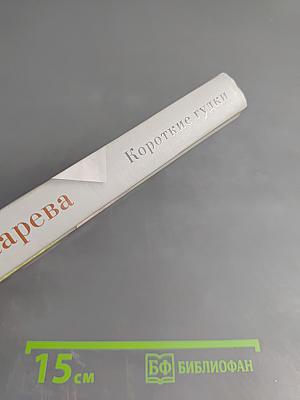 Короткие гудки