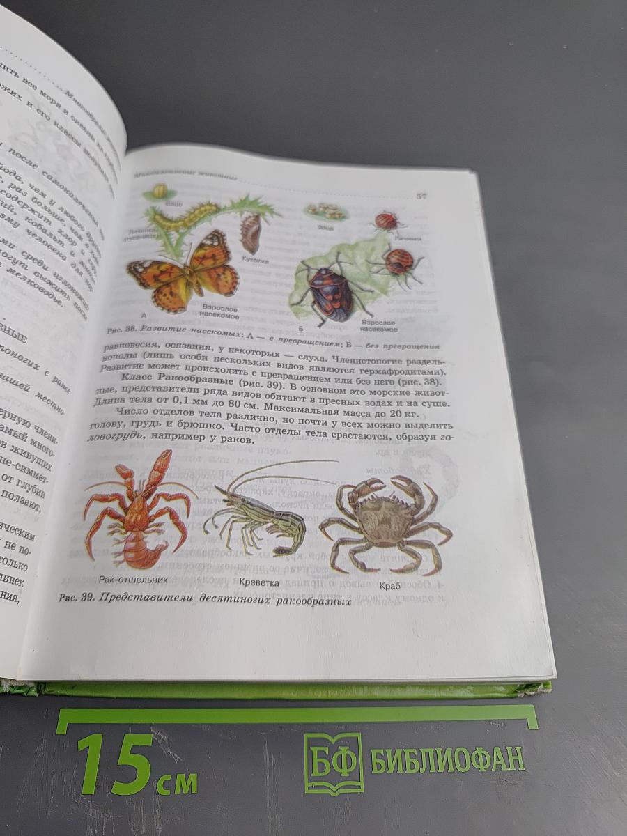 Биология Животные 7 класс