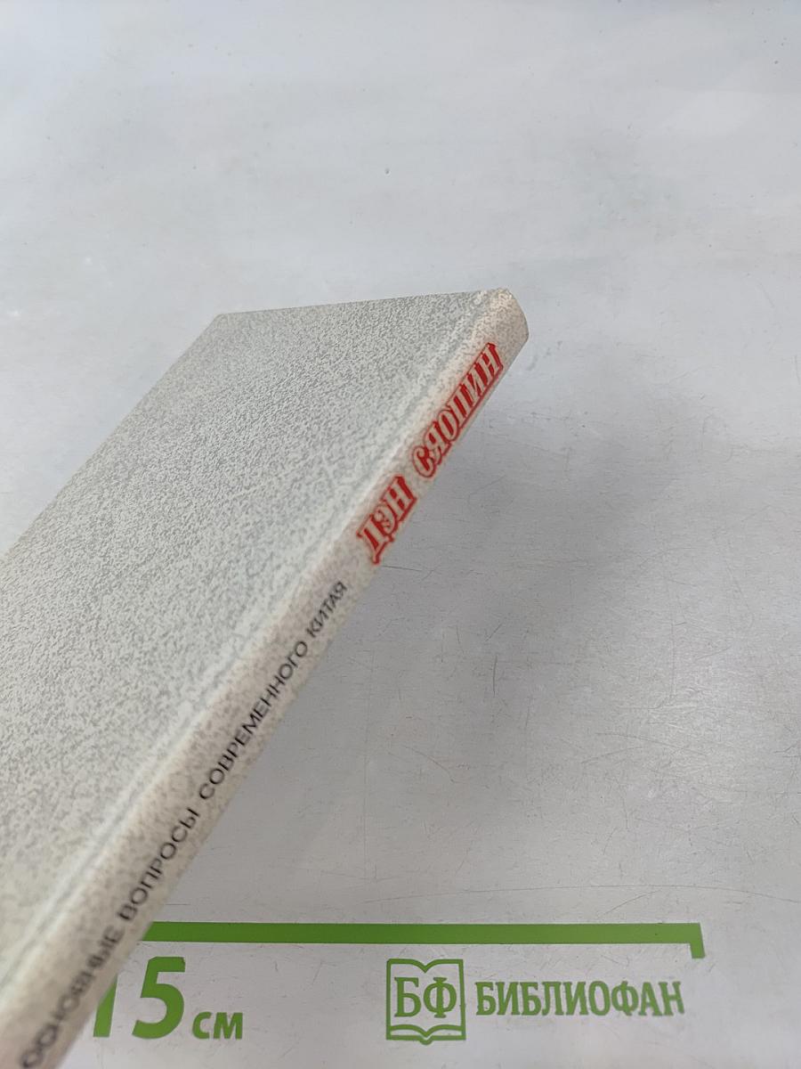 Дэн Сяопин. Основные вопросы современного Китая