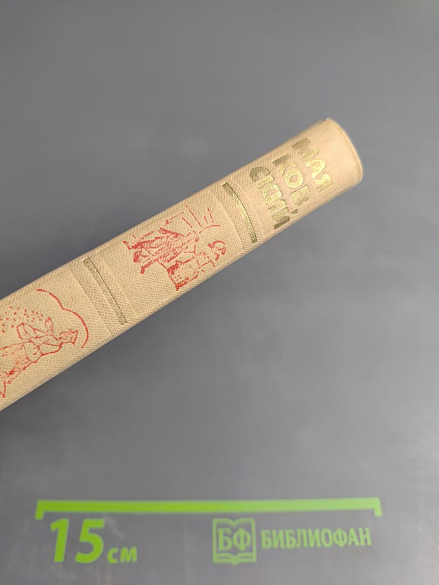 Собрание сочинений в шести томах. Том 5