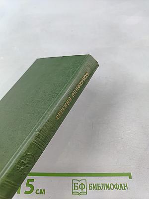 Дом и мир. Стихи