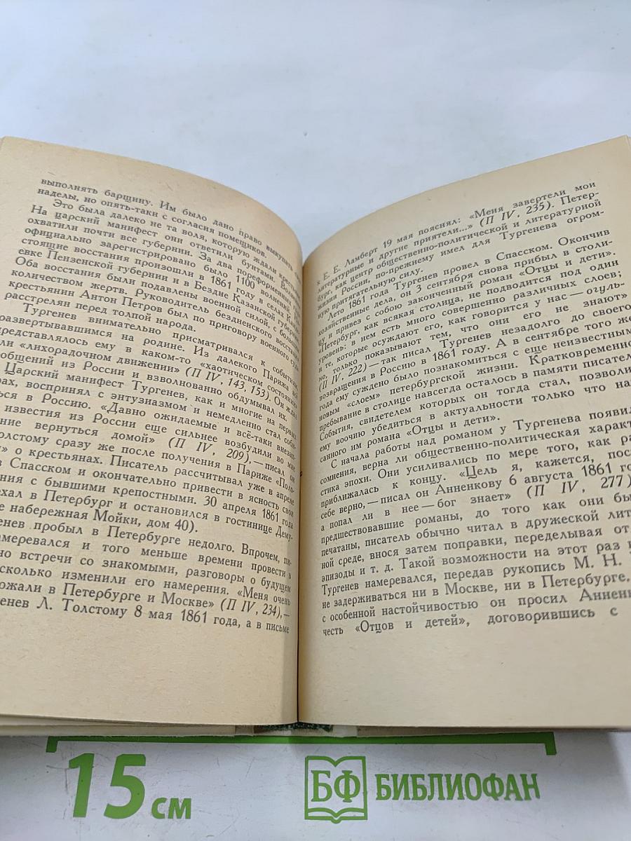 Тургенев в Петербурге