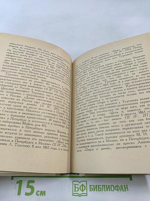 Тургенев в Петербурге