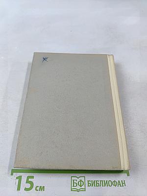 Тургенев в Петербурге