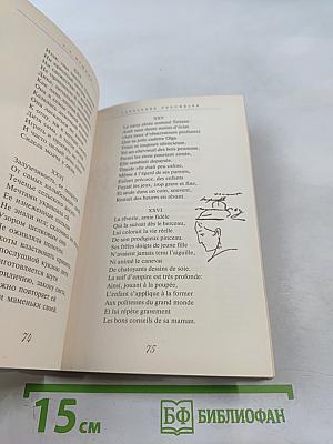 Евгений Онегин. Избранная лирика