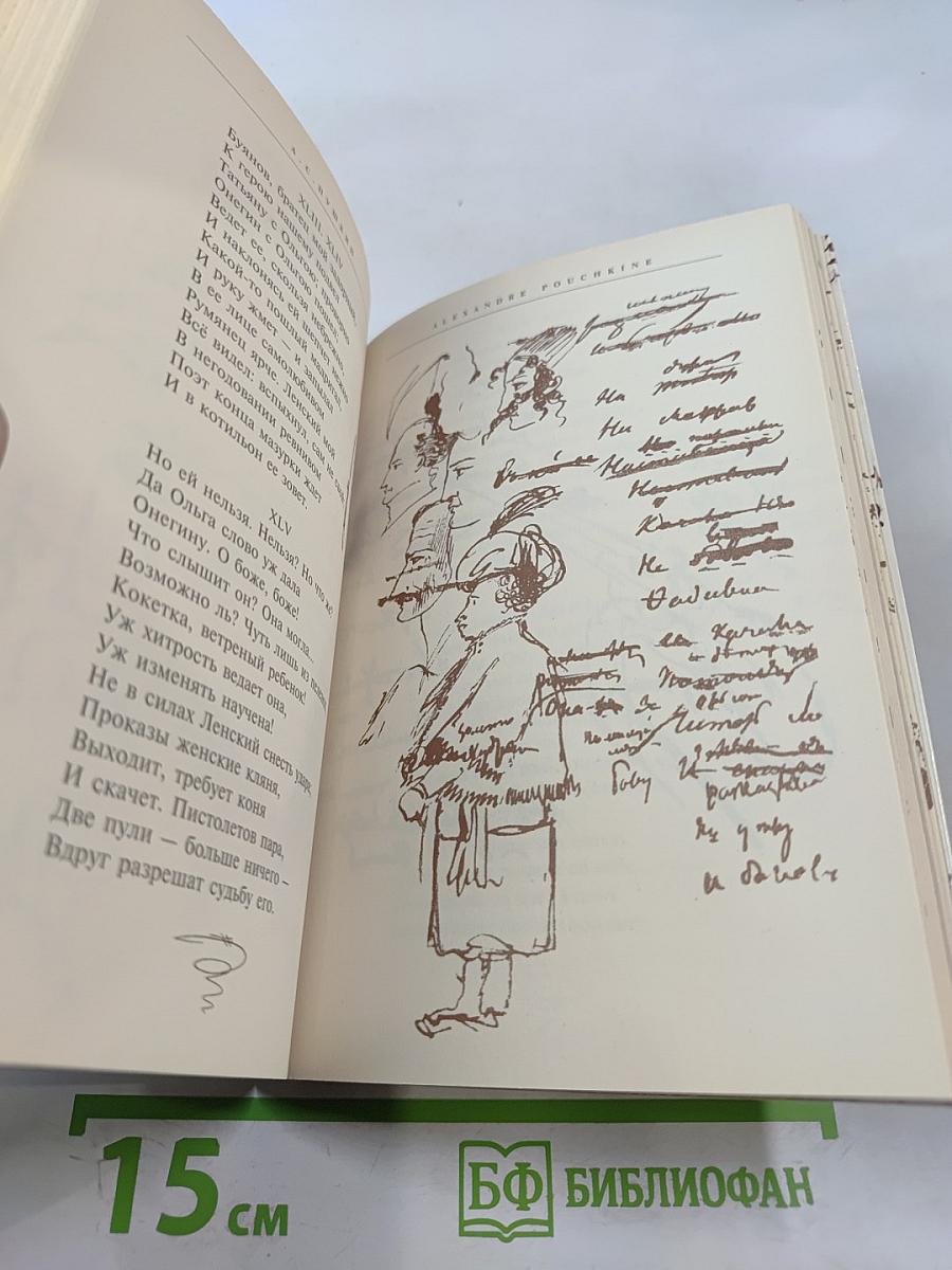 Евгений Онегин. Избранная лирика