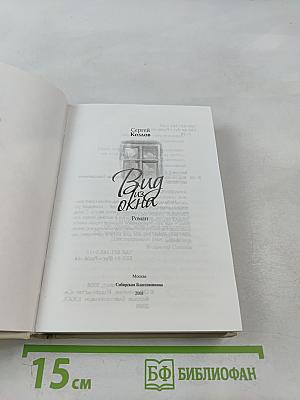 Вид из окна