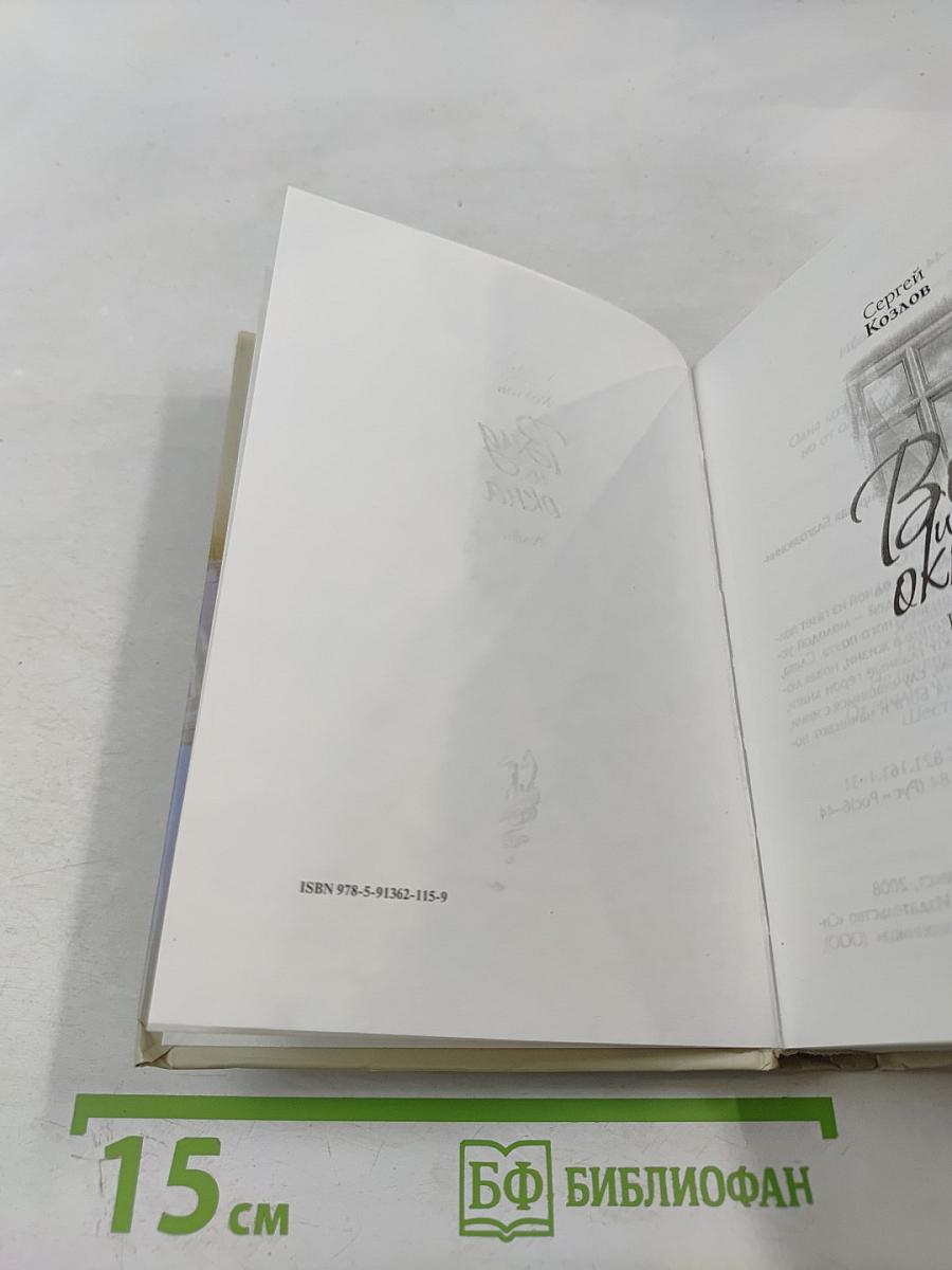 Вид из окна