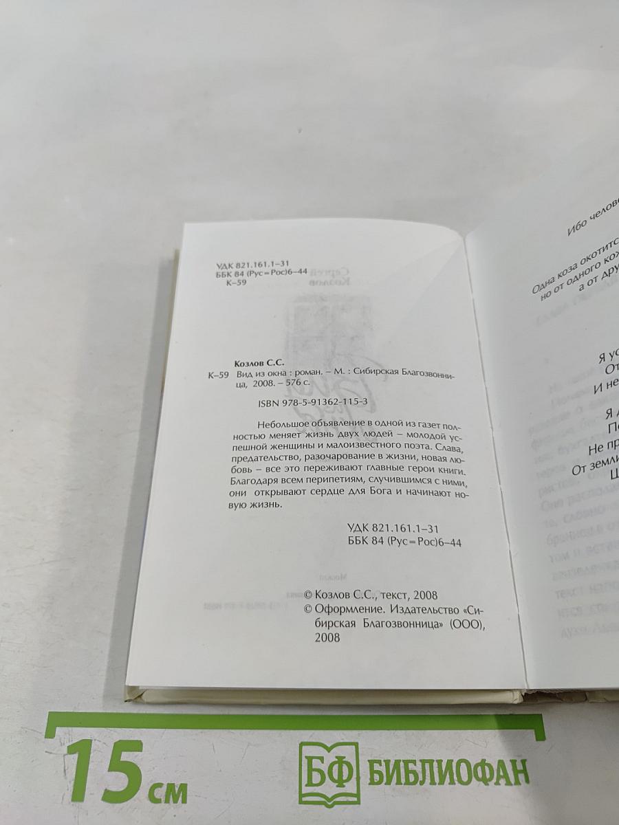 Вид из окна