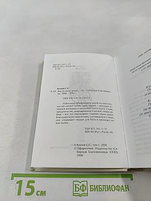 Вид из окна