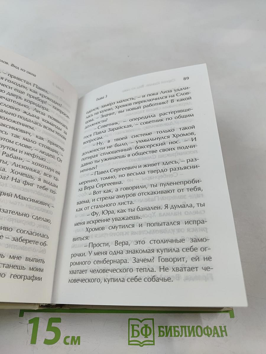 Вид из окна