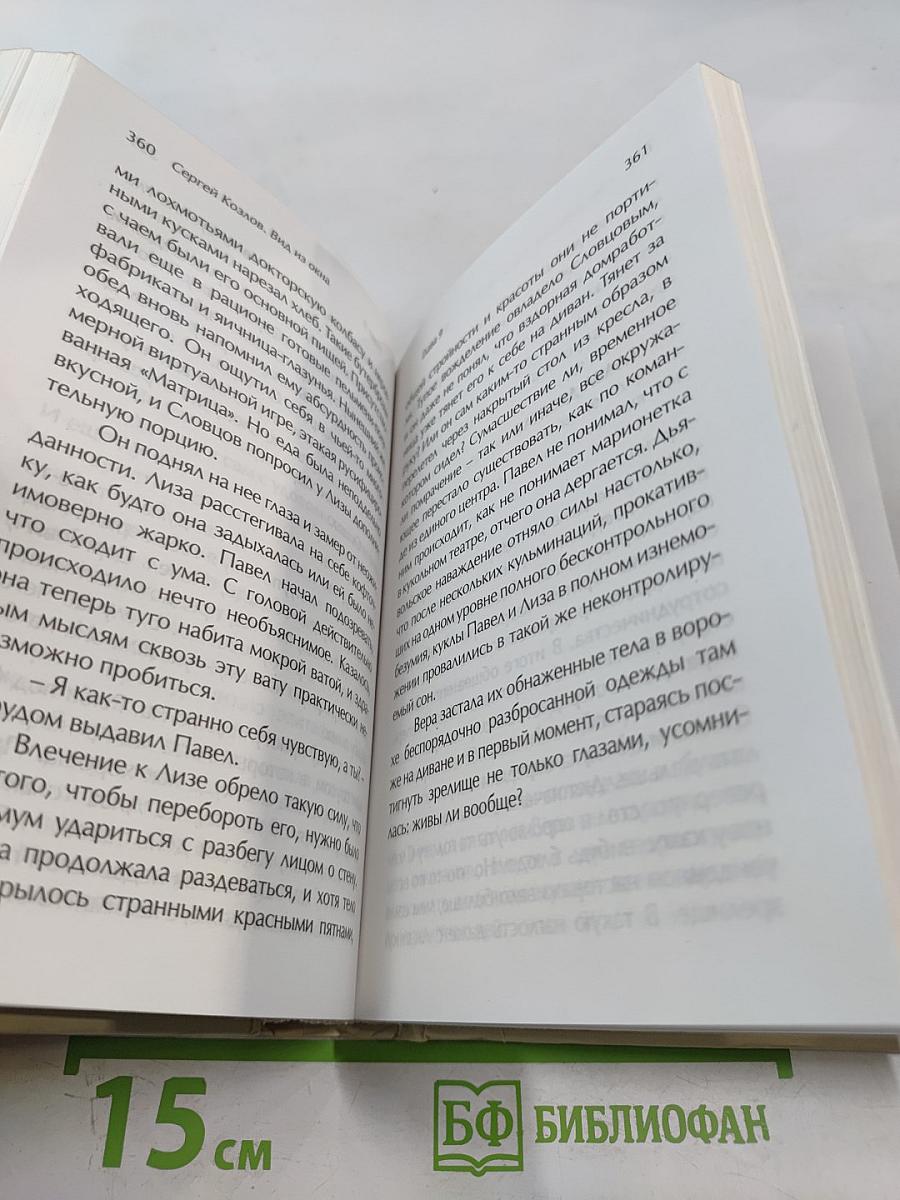 Вид из окна