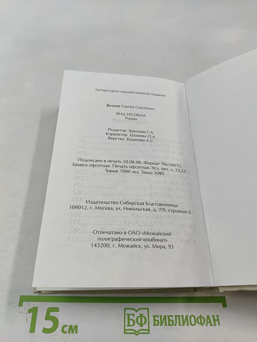 Вид из окна