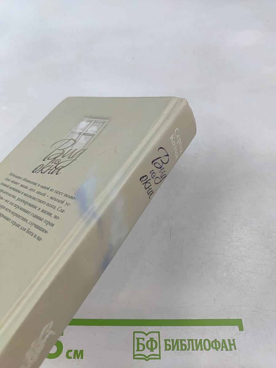 Вид из окна