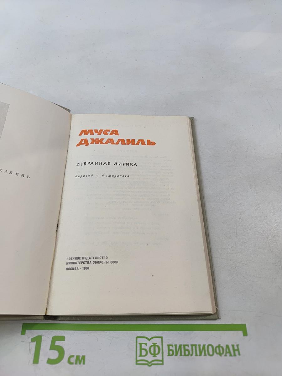 Избранная лирика