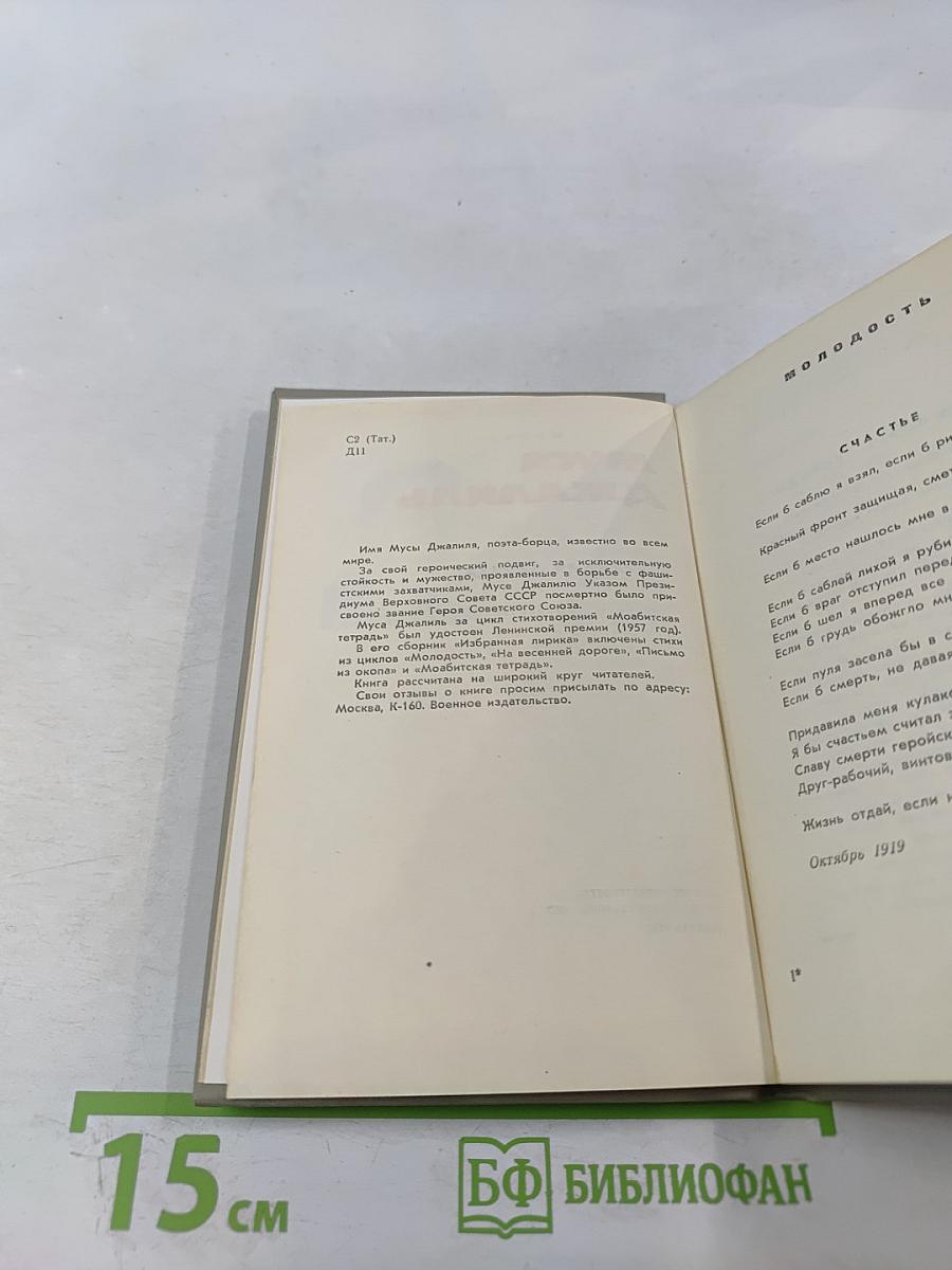 Избранная лирика