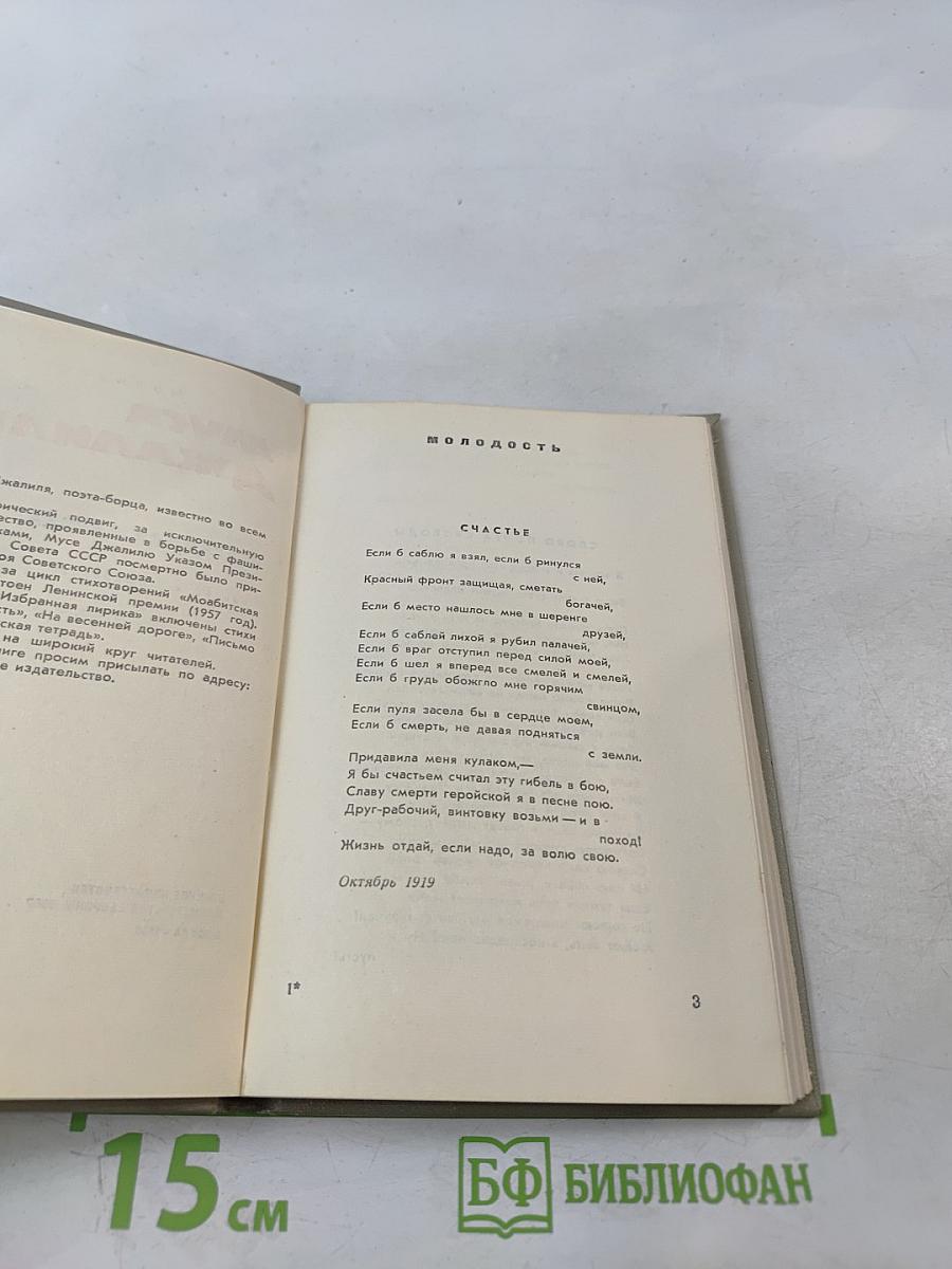 Избранная лирика