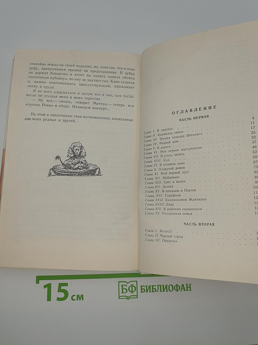 Без семьи