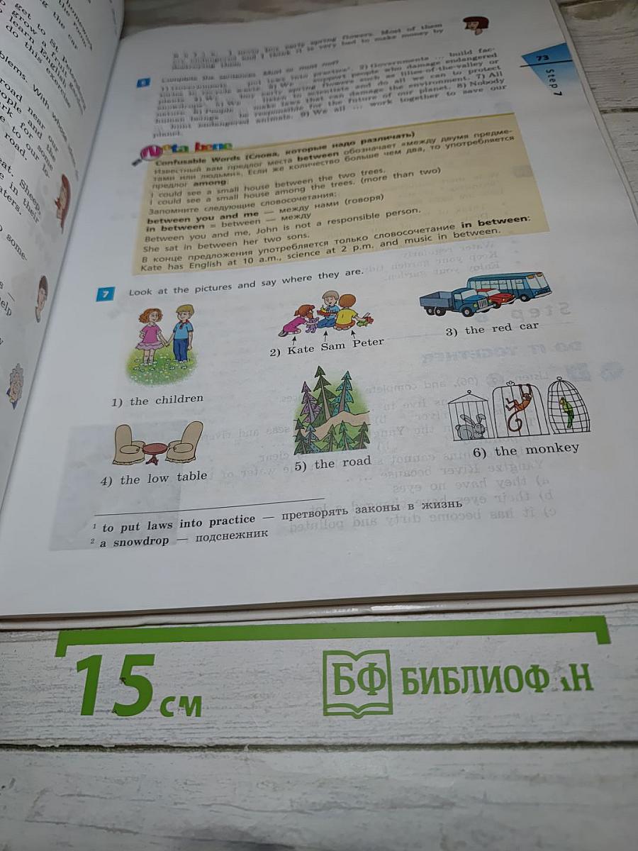 Английский язык Rainbow English. 7 класс. Часть 2
