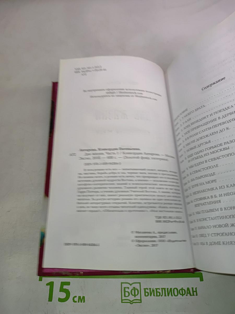 Две жизни. Мистический роман. Часть 1