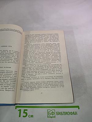 Гете. Собрание сочинений. Том десятый. Об искусстве и литературе