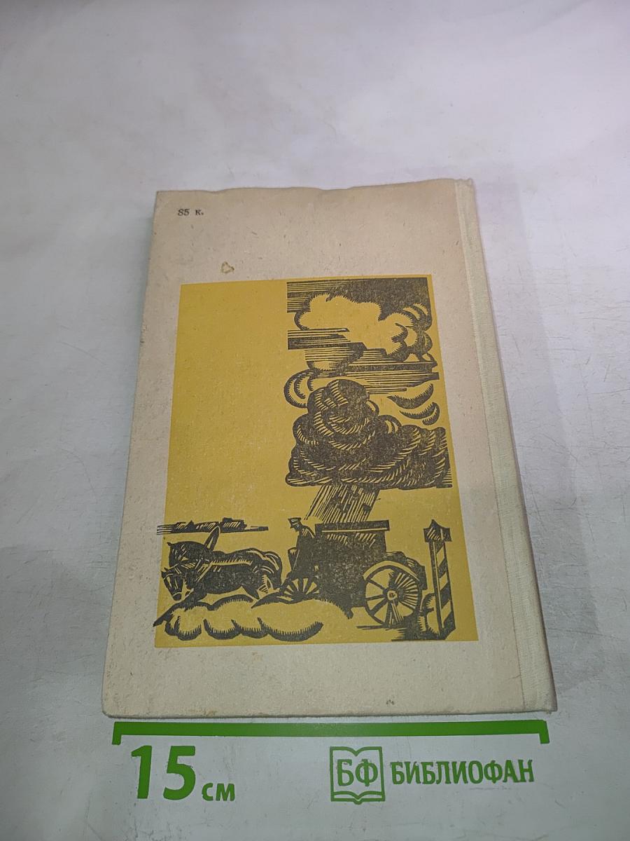 Недоросль. Путешествие из Петербурга в Москву. Подщипа (Триумф)