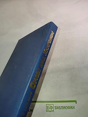 Орлы над Хинганом