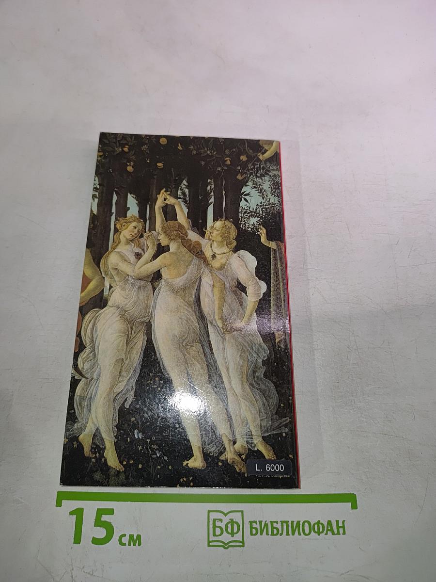 New guide of florence and monumental plan of the city