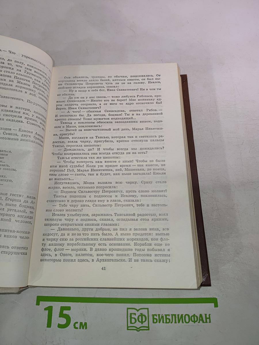 Россия молодая. Книга вторая