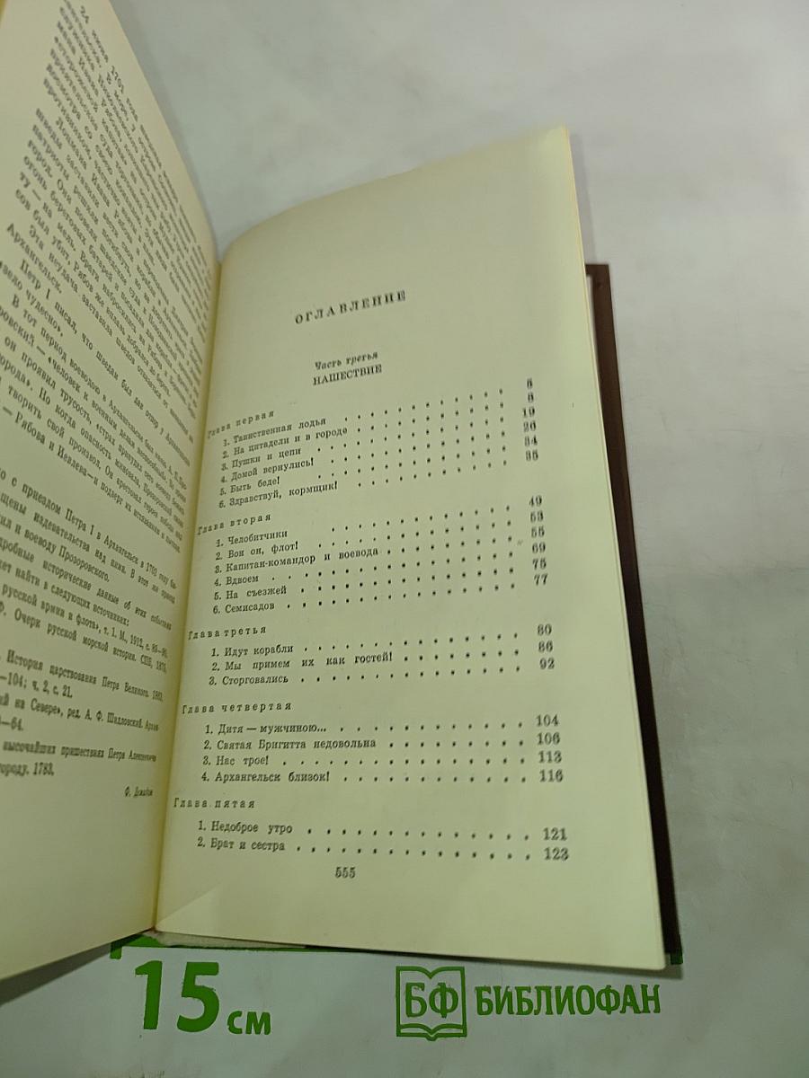 Россия молодая. Книга вторая