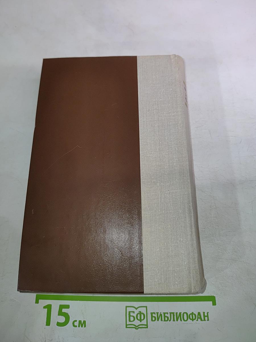 Россия молодая. Книга вторая