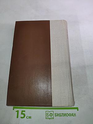 Россия молодая. Книга вторая