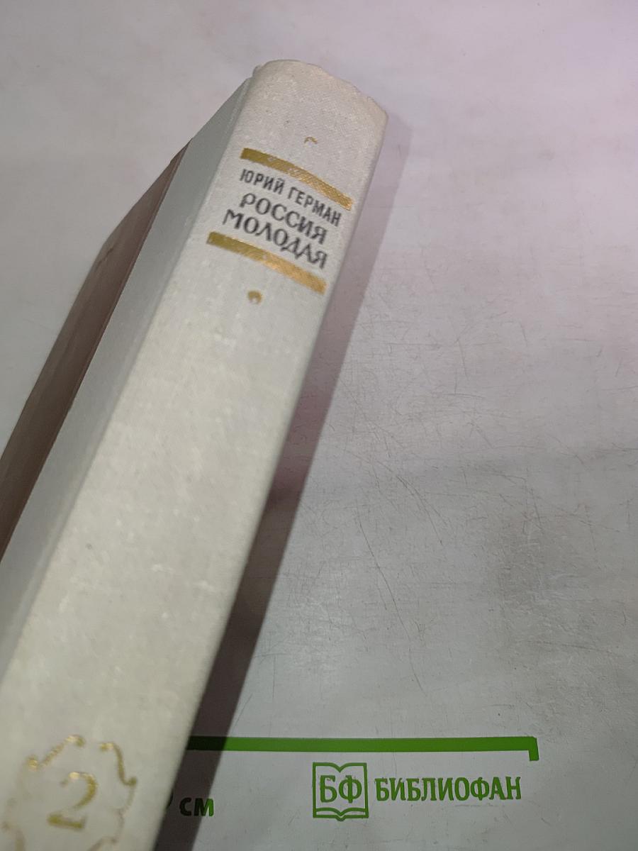 Россия молодая. Книга вторая