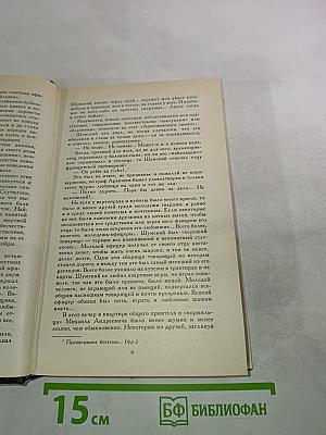Аракчеевский сынок; Аракчеевский подкидыш