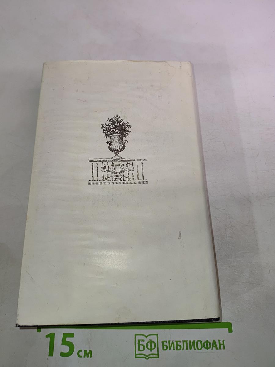 Аракчеевский сынок; Аракчеевский подкидыш