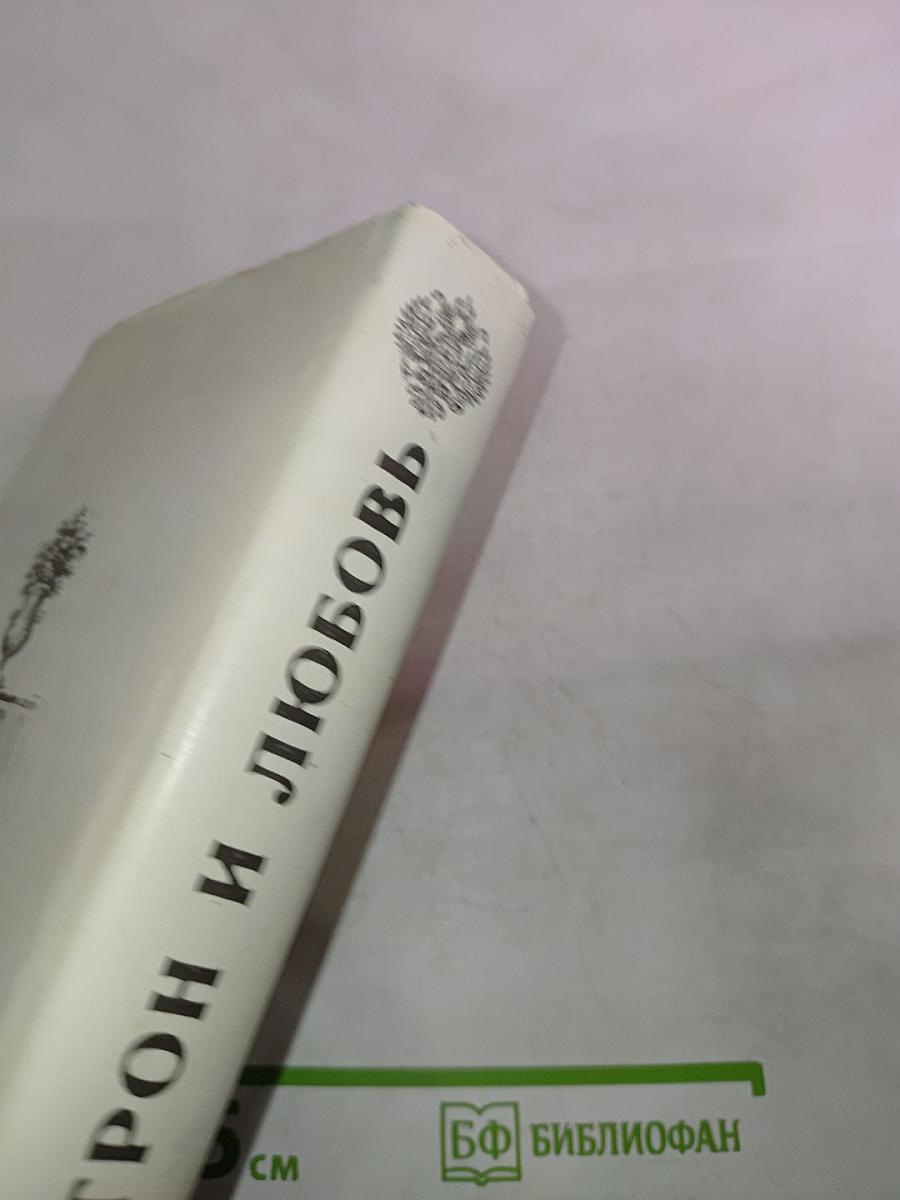 Аракчеевский сынок; Аракчеевский подкидыш