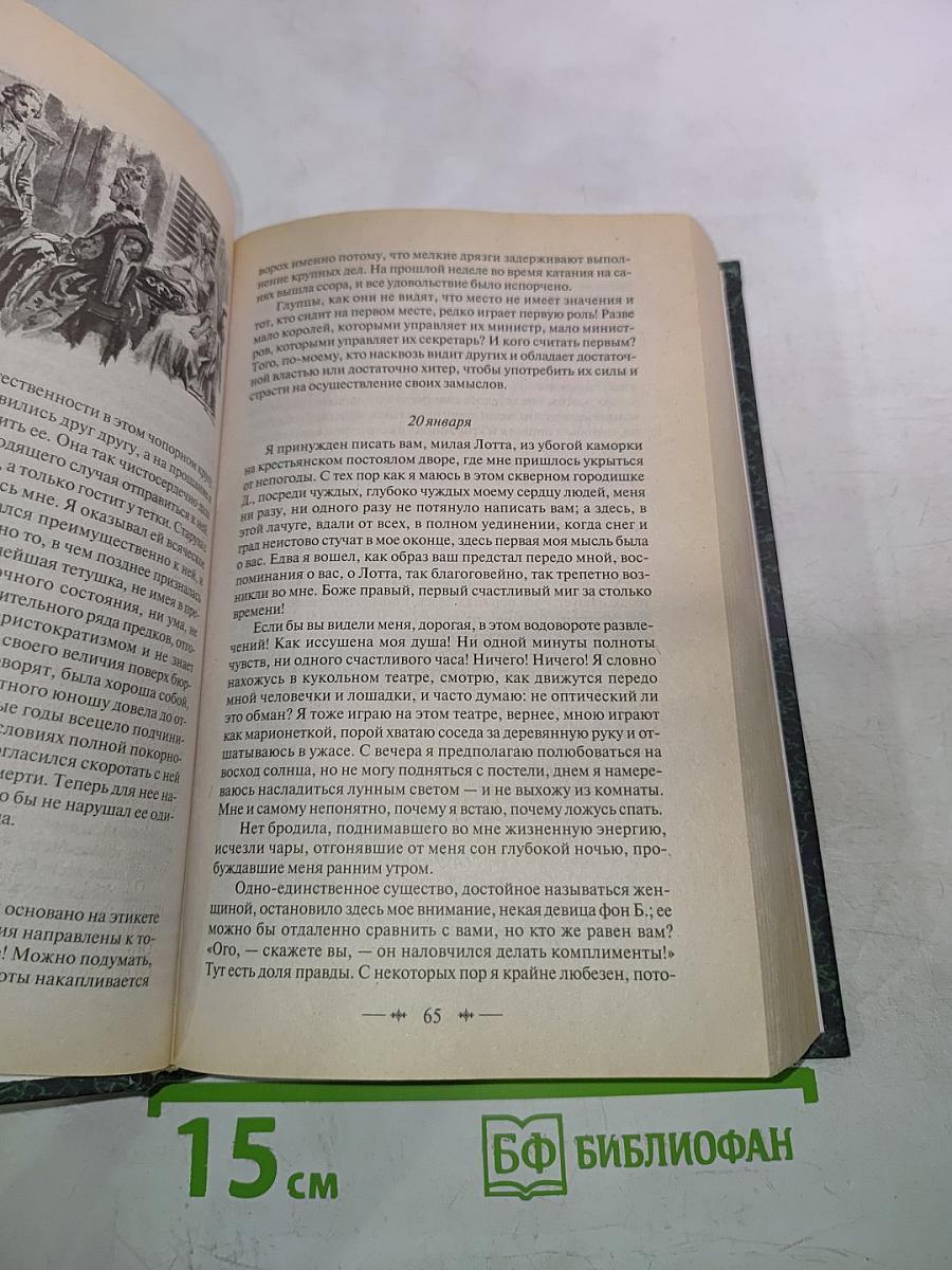 Страдания юного Вертера; Фауст