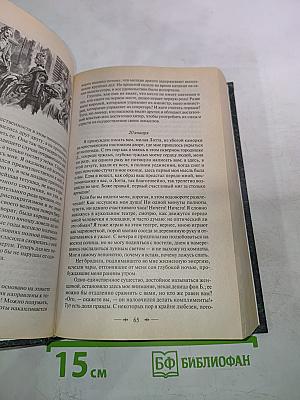 Страдания юного Вертера; Фауст