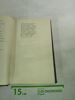 Собрание сочинений в четырех томах. Том 2