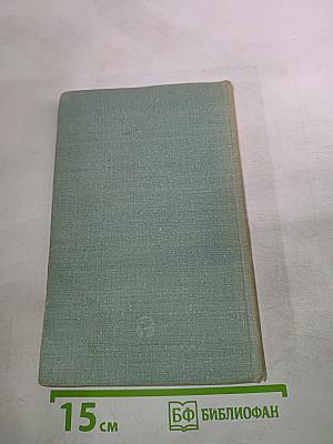 Внутрифирменное управление в США