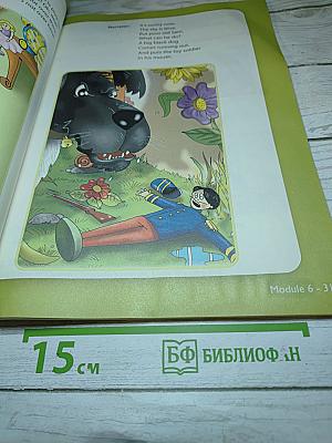 Английский язык. 3 класс. Учебник. В двух частях. Часть 2