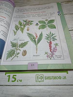 Окружающий мир для 3 класса. Часть 2