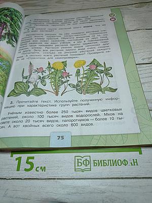 Окружающий мир, 3 класс, Часть 1