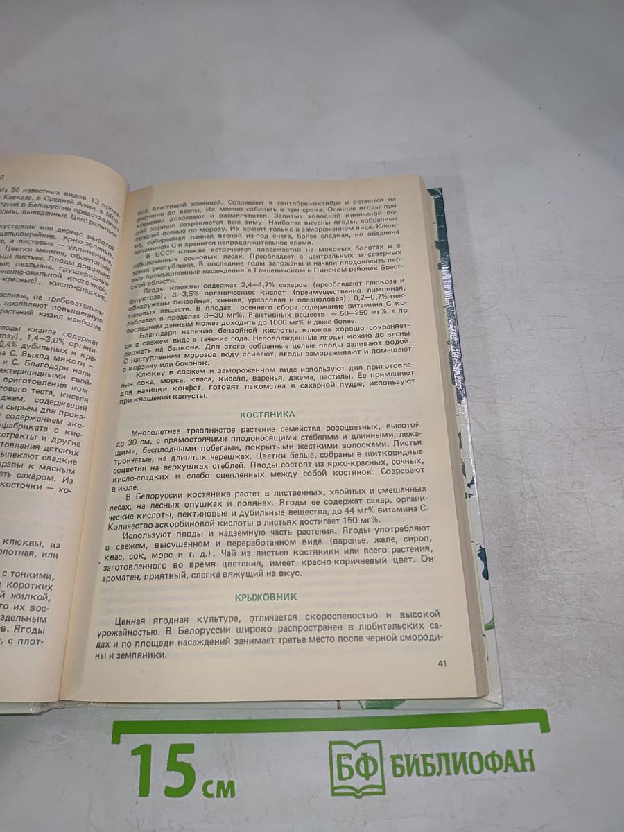 Плоды и ягоды на вашем столе