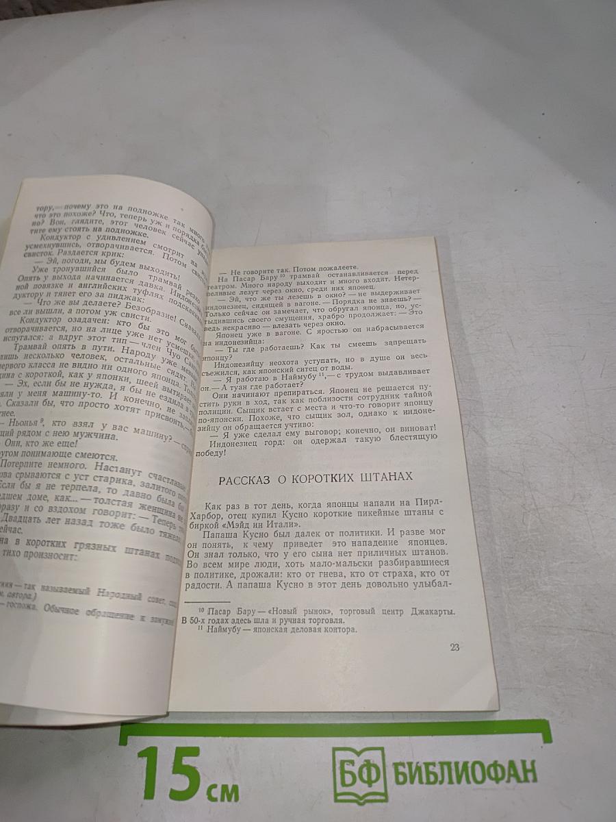 При лунном свете. Новеллы писателей Индонезии