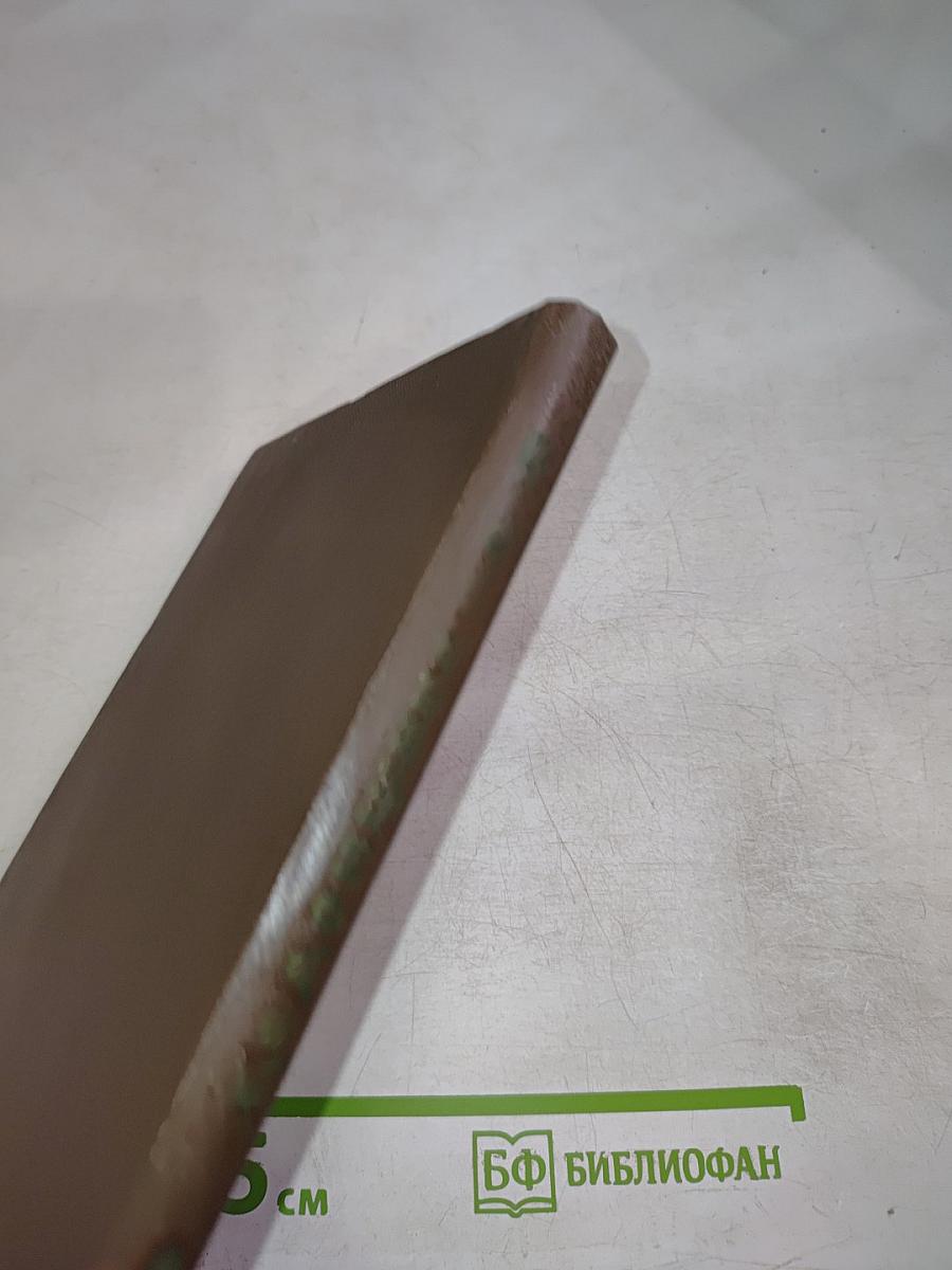 Задонщина: древнерусская песня-повесть о Куликовской битве