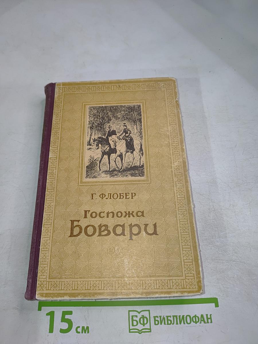 Госпожа Бовари. Провинциальные нравы
